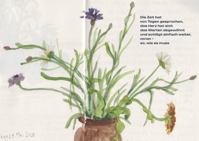 Drawing of a brown pitcher with various wildflowers and green stems, with black text in the top right.