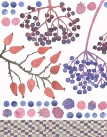 Book cover of: "Moss Green and Raspberry Red – A Forest Cookbook"