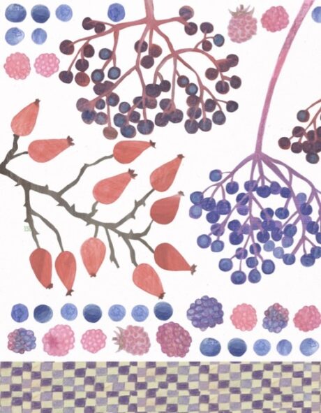 Book cover of: "Moss Green and Raspberry Red – A Forest Cookbook"