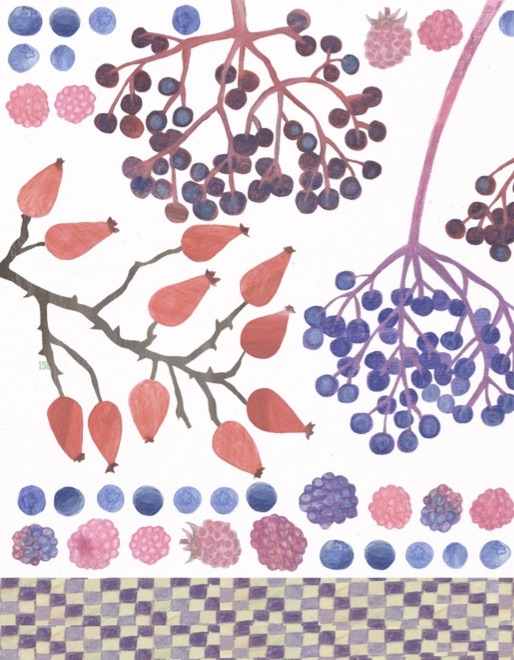 Book cover of: "Moss Green and Raspberry Red – A Forest Cookbook"
